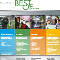 Best of Viborg
